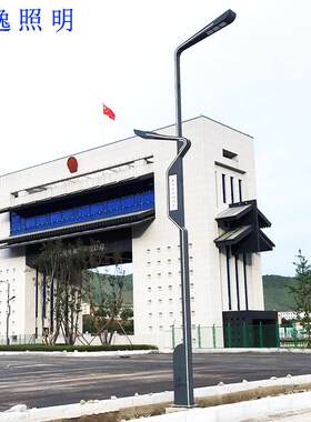户外造型双头智慧路灯太阳能智慧特色造型景观灯道路照明落地灯