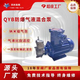 防爆气液混合泵25QB-2耐腐蚀04不锈钢纳米级自吸臭氧水南方型