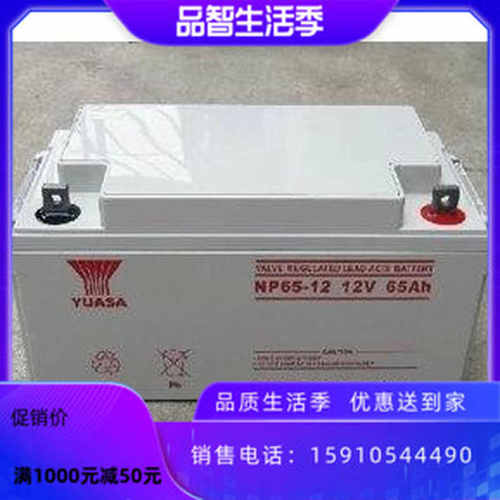 NP65-12 广东12V65AHups电源医疗器械专用