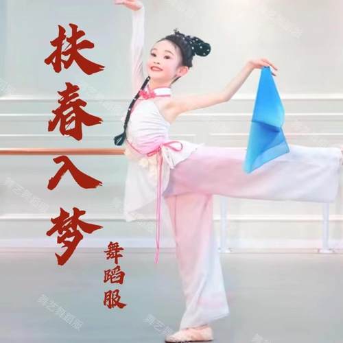 扶春入梦舞蹈服演出服独舞古典舞民族中国风胶州秧歌表演艺考服装