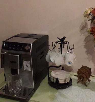 德龙 ETAM29.510.SB怎么样?听说质量很坑,是真假呢?