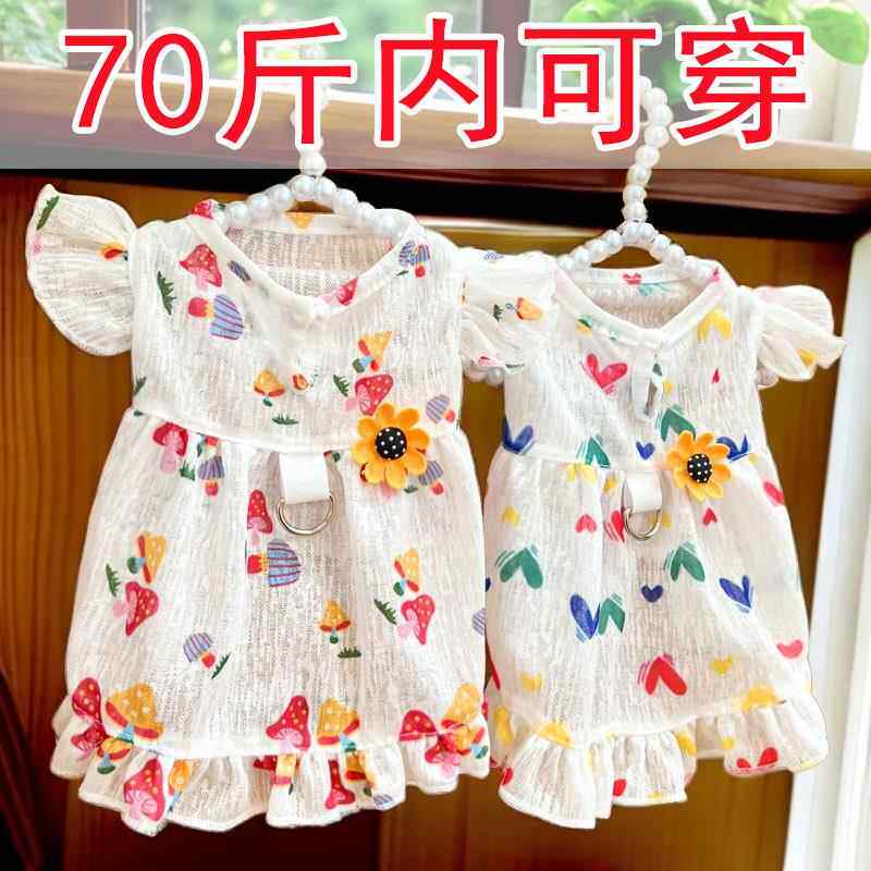 宠物猫可牵引外出爱心夏季连衣裙子狗狗猫咪用品柯基狗衣服服饰