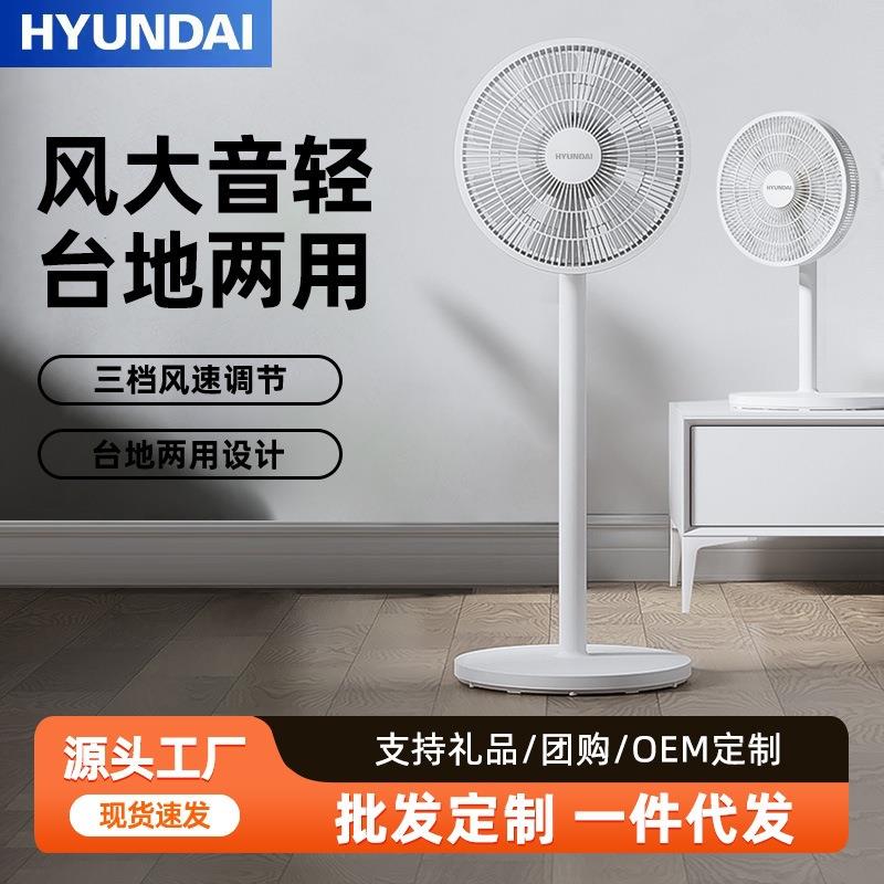 家用电风扇台地两用三档遥控定时8m远距送风轻音省电PP摇头落地扇