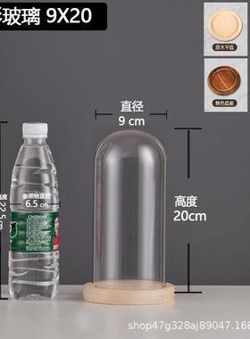 厂家跨境永生干花玻璃装饰摆件