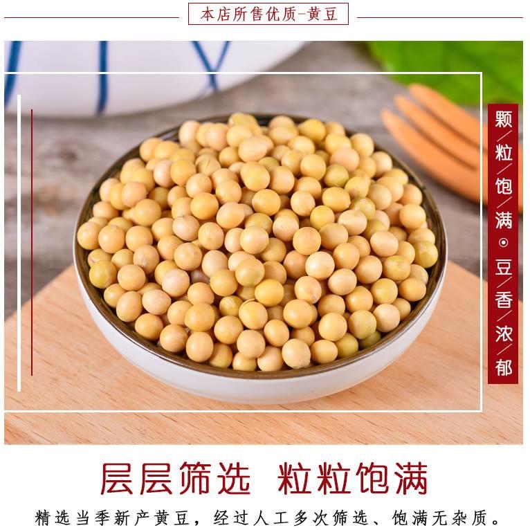 优质黄豆新豆500g 云南农家老品种小粒发豆芽土黄豆打豆浆专用5斤