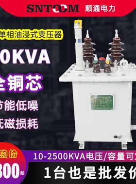 10kvD11单相油浸式电力配电变压器250工业315/400/63080全铜10kva