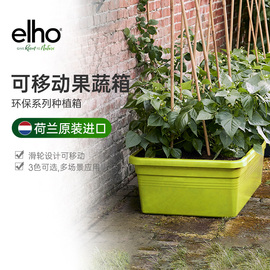 elho种菜盆家庭阳台种菜神器，菜园种植箱，楼顶种菜箱特大号塑料加厚