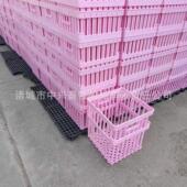 多筋加固蛋箱 种蛋框 中兴种蛋箱 36枚鸡蛋箱