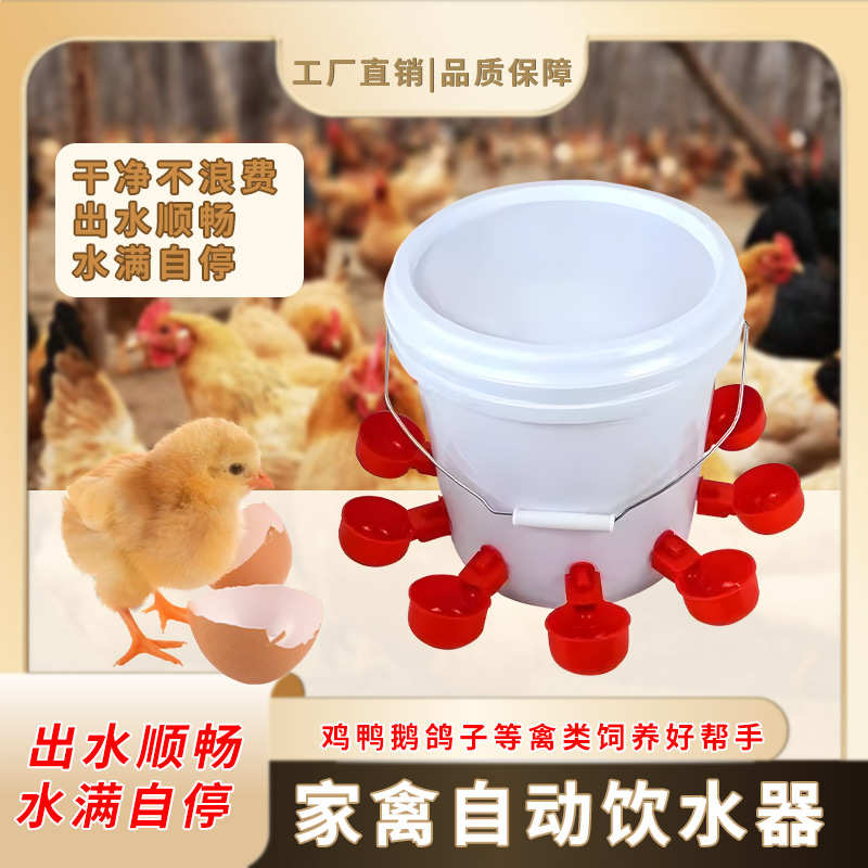 饮喝水鸡鸭桶装水碗鹅鸽子鹌鹑碗饮水全自动新款水器自动用碗雏鸡