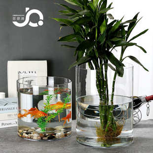 超大玻璃花瓶直筒透明特大号60厘米大口径水培富贵竹养鱼绿植白掌