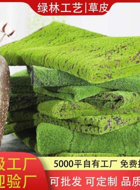植物墙仿真苔藓绿色假苔藓青苔微景观盆景造景装饰材料草坪草皮