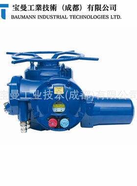 法国Bernard伯纳德STX20多回转角行程防爆型执行机构原装进口