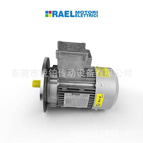 意大利RAEL防爆电动机 Exd 气体 粉尘防爆 RL56至160机座铝壳包邮