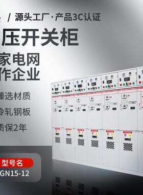 厂家直供高压气体绝缘环网开关柜SDM6-12全绝缘封闭充气柜