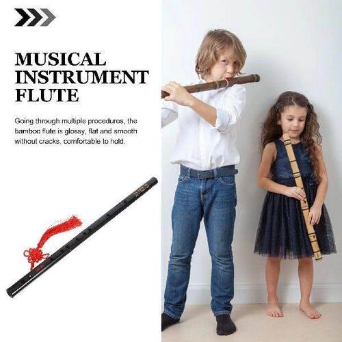 Recorder Instrument Black Fife Instruments Chinese Flute