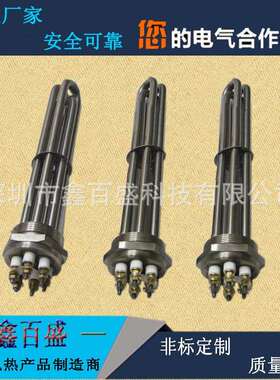 D管NXBS-LWS90DN50螺纹电加寸热1.5寸2六角4丝扣发热管导热油加热