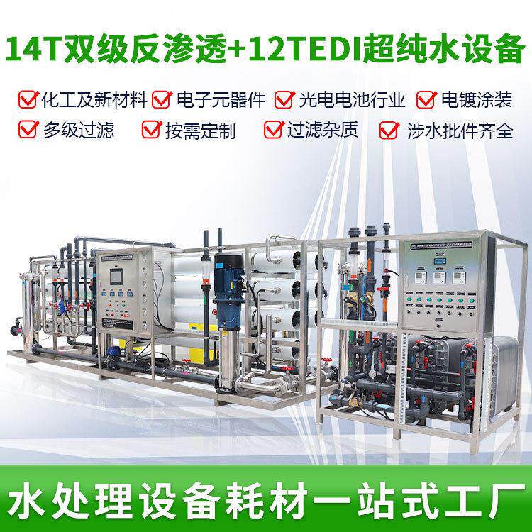 大型14T双级反渗透+EDI超纯水机生物制化工去离子电子纯水设备