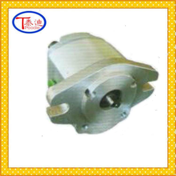 C小-型E204XLF齿轮泵微B齿轮泵排量齿轮泵