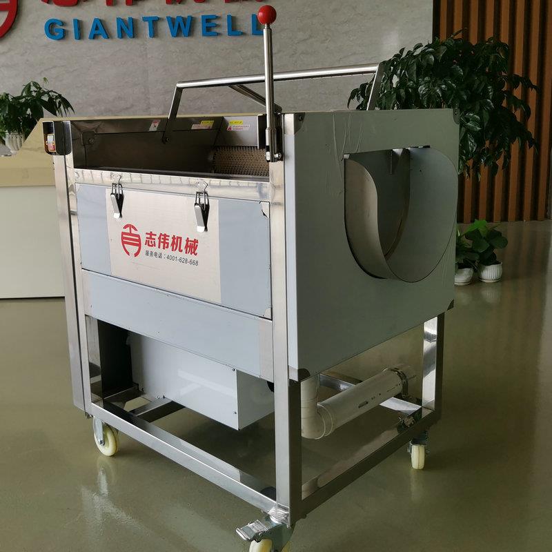 ZW-BBB90清9X根类物料清洗机去土豆清洗去皮机生茎姜山药皮洗机