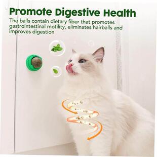 Organic Ball Catnip toys appetite Cat Improving Natural