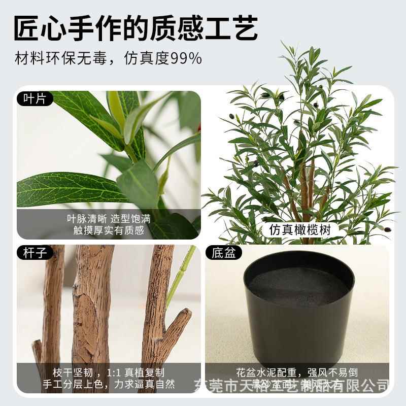 仿真橄榄栽客厅室内盆景TY-HD000落盆地大发型绿植装财树植物饰仿