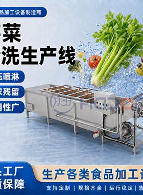 芹菜全自动多功能清洗设备不锈钢气泡清洗机全套果蔬清洗设备
