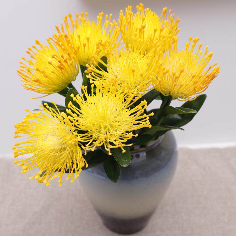新款仿真带叶短支针垫花客厅餐桌假花塑料花婚庆装饰仿真针垫花