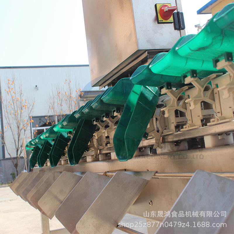 扇贝肉贝类海鲜称重分级重量分选机自动选别机称重分拣机