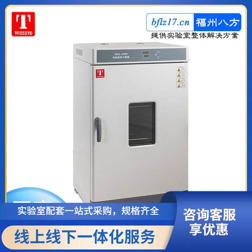 实验室烘箱WGL-125B电热数显鼓风干燥箱不锈钢材质