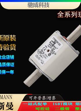 巴斯曼170M3816 170M3813 170M3817 厂家供货销售 高速熔断器