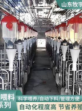 料赛盘件喂料养猪自场自动线料赛盘配料塔料线PIM育肥养猪场动上
