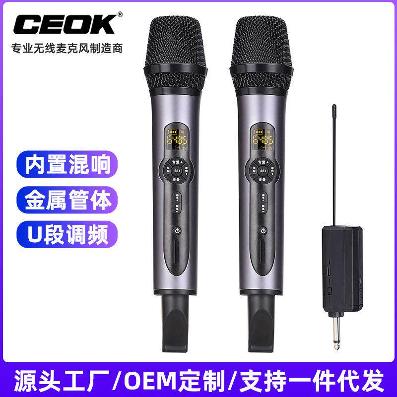 新款U段一拖二无线麦克风可调节混响音量声卡直播KTV家庭户外K歌