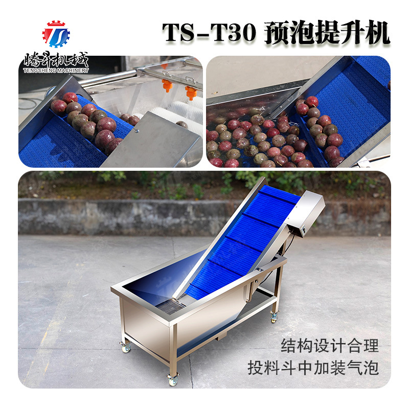 厂家直供提升输送机 食品果蔬预泡输送机作业线 网带提升输送机