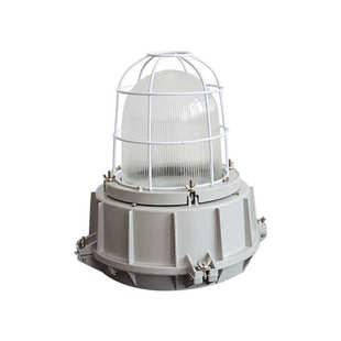 防爆灯隔爆型地雷应急灯三防户外防水车间仓库工厂照明灯善能X20