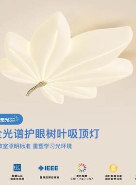 护眼全光谱客厅吸顶灯温馨浪漫卧室房间灯枫叶奶油风大厅组合灯