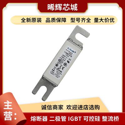 型号齐全170M1418 170M1419 巴斯曼直流快速熔断器库存充足直供