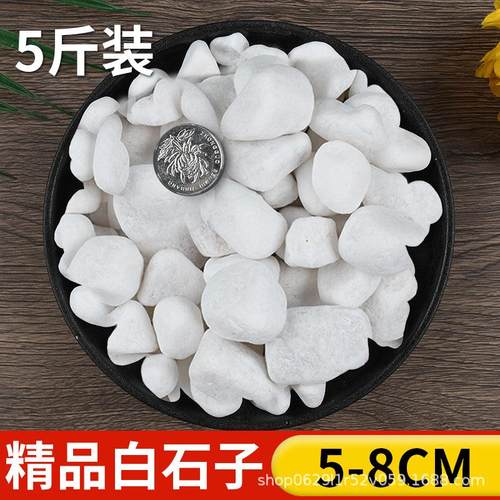 石子多鹅卵石盆栽铺面栽培基质