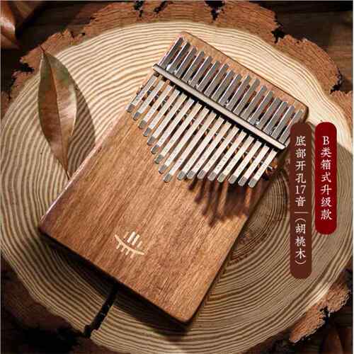 高档鲁儒高端款拇指琴 卡林初学17音a21音板式klimba便携巴乐实器
