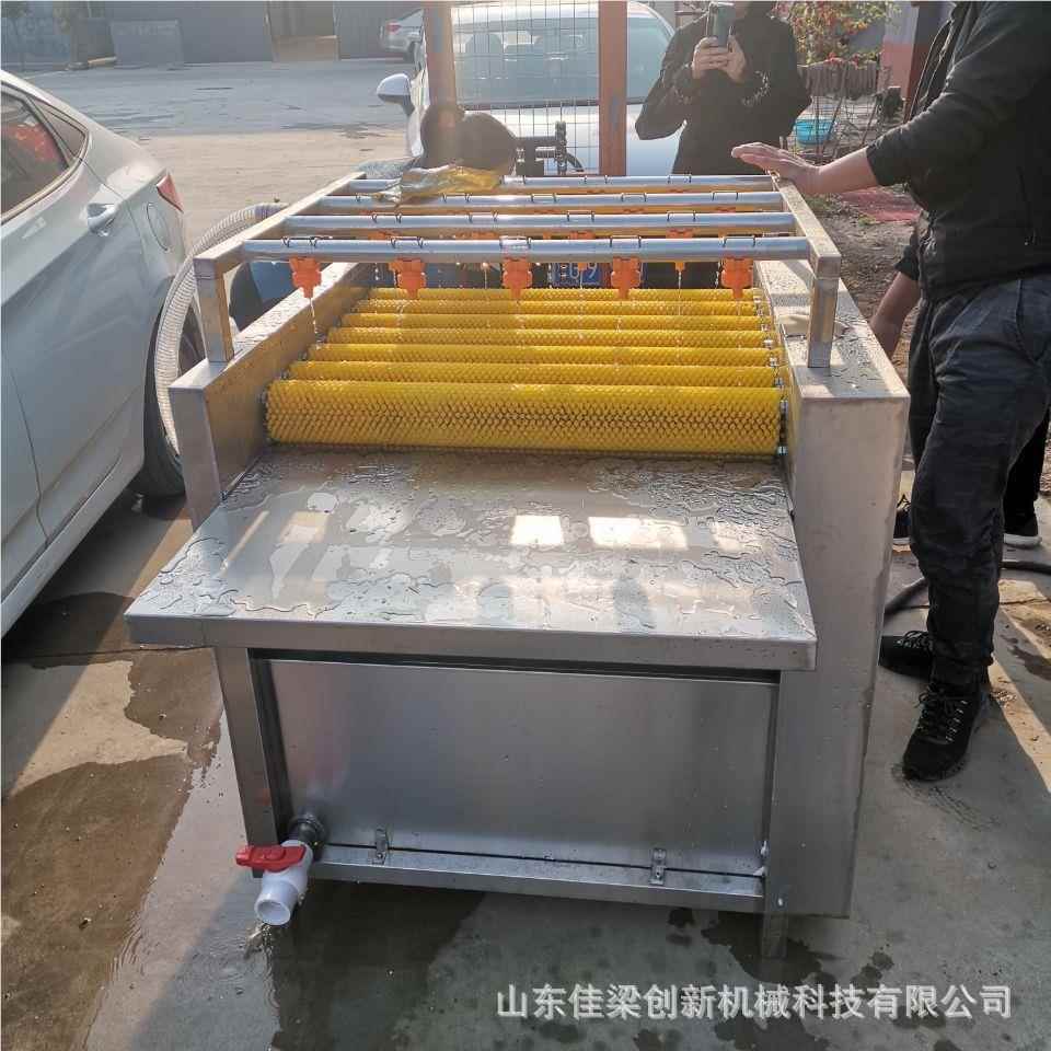 全棕自动清洗机商用571毛辊连式续芭蕉叶枇杷叶荷叶芦苇叶叶清洗