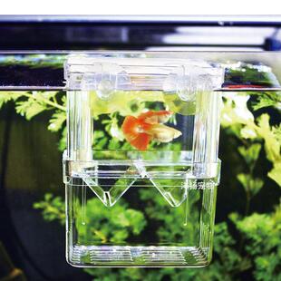 小鱼下崽分离器生鱼器隔离盒孔雀鱼繁殖专用鱼缸鱼产房孵化盒产卵