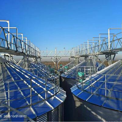 50吨玉米钢板仓丰德鑫正工厂粮库用自动出料