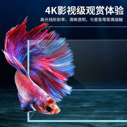 金晶超白玻璃鱼缸晶白客厅家用水草缸长方形桌面生态造景金鱼缸可