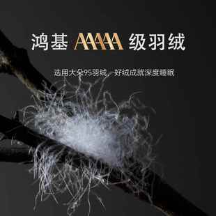 鸿基180支A级黄金白鹅绒保羽绒被5白鹅绒被5暖冬被双人ULX被子9被
