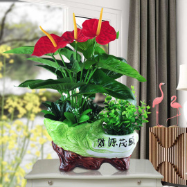 红掌仿真植物假花仿真花绿植花卉，家居装饰品塑料花客厅摆件假盆栽