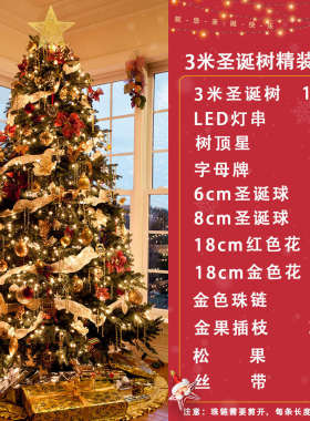 圣诞树加密装饰1/带2带//广场.6185m大型1/圣诞节.豪华灯.5米商场