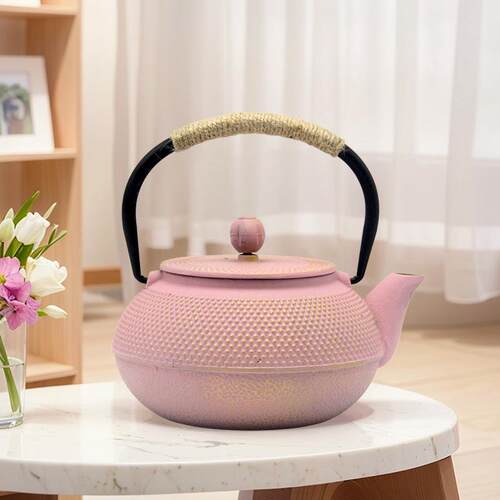 彩色铸铁壶 900ml新款简约生铁茶壶煮水泡茶家用养生配套茶具套装