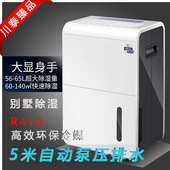 川泰除湿机CT650EB别墅地下室会议室办公室微机房小型高档除湿机