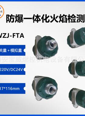 宝威燃控BWZJ-FTA回转窑炉火焰检测器