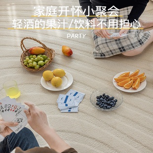 无胶抗菌硅藻丝防水免洗可擦轻奢高级地垫 地毯客厅奶油风2025新款