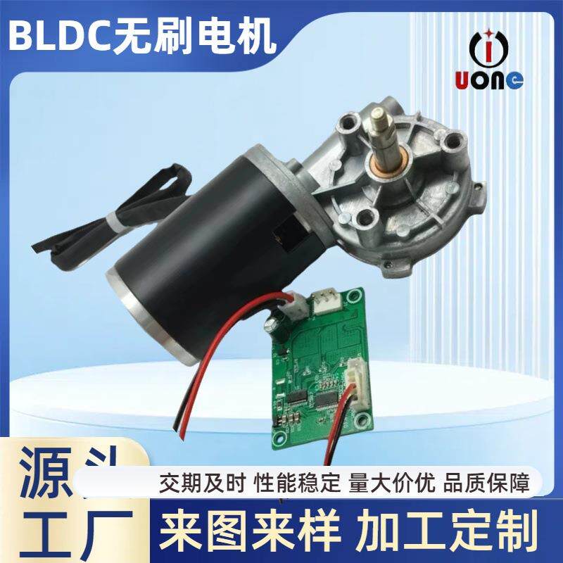 D60mm无刷电机12V24V蜗轮蜗杆直流减速电机制冰无刷驱动高扭矩